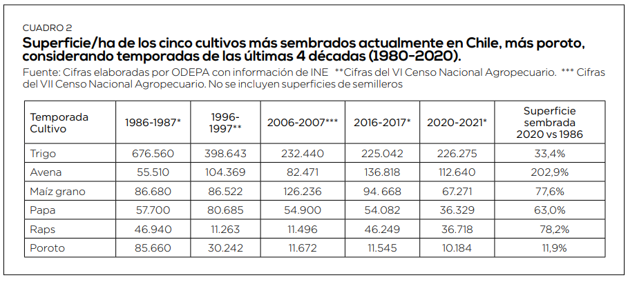Cómo han evolucionado los principales cultivos anuales en Chile durante las últimas décadas
