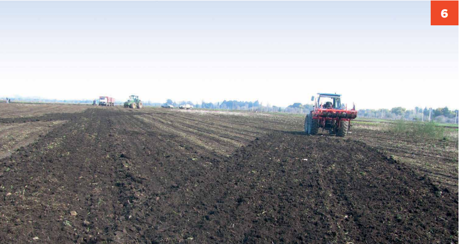 Un buen manejo de labranza y compactación del suelo es clave para crecer en productividad de los cultivos