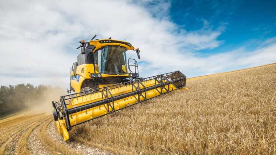 Conflicto Rusia-Ucrania: alza de los precios de trigo y fertilizantes. Cómo entender el escenario en medio de tanta incertidumbre