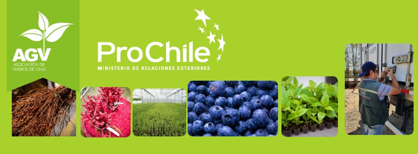 Lanzan plataforma web de exportación Plants from Chile