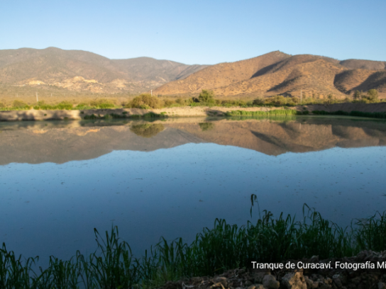 11 ideas para solucionar la escasez hídrica en Chile de acuerdo con Pablo García-Chevesich