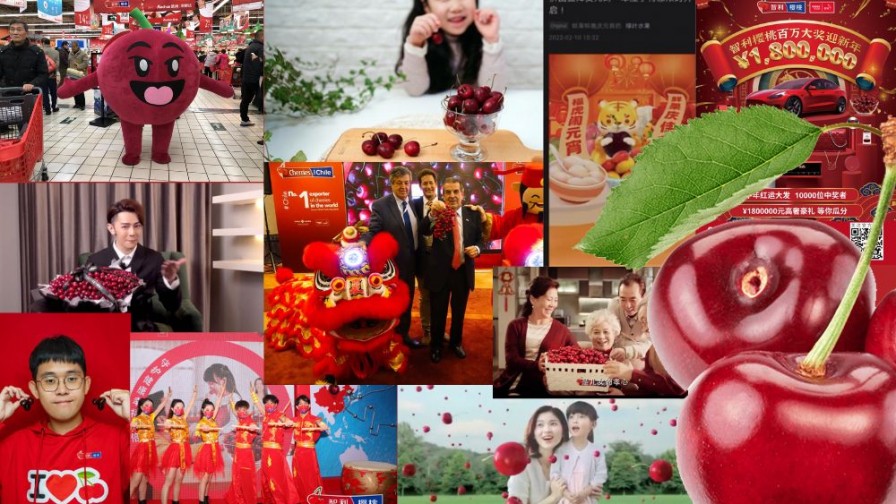 Campaña de marketing de las cerezas chilenas en China recibe premio internacional