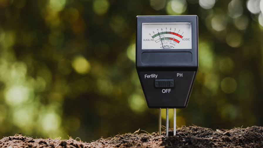 El pH: indicador clave de la calidad del suelo por su influencia en aspectos químicos y biológicos